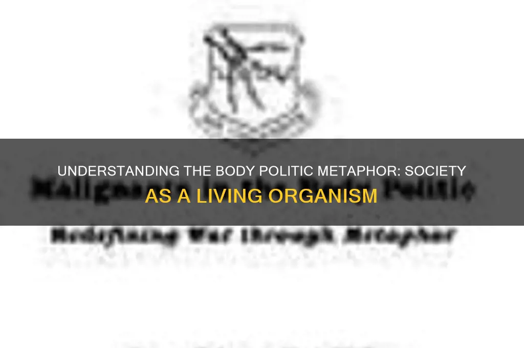 what is body politic metaphor