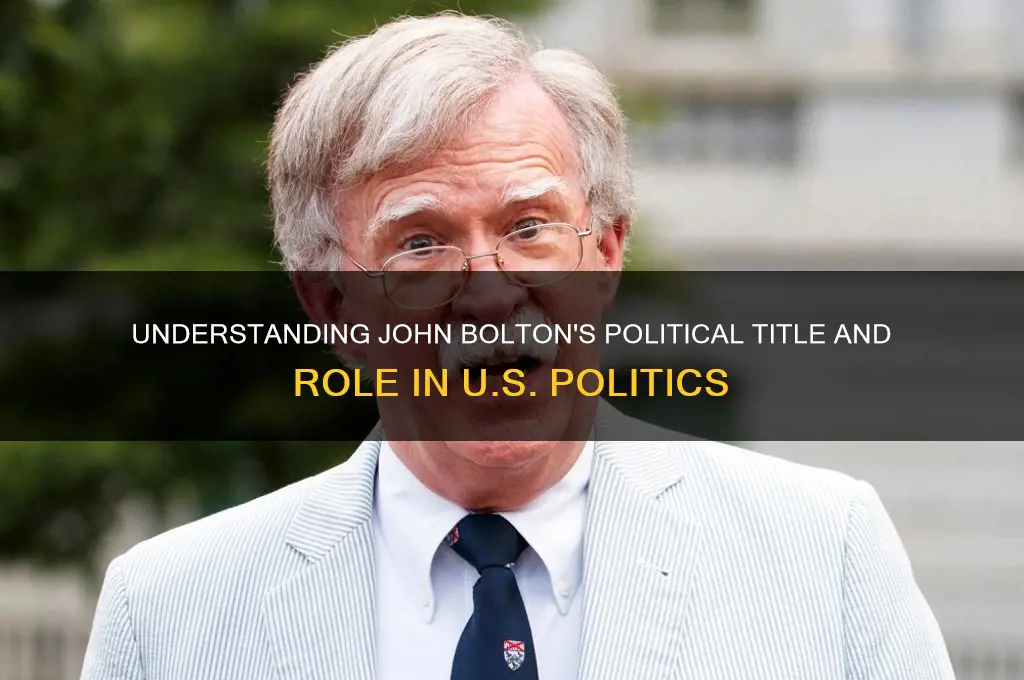 what is boltons political title