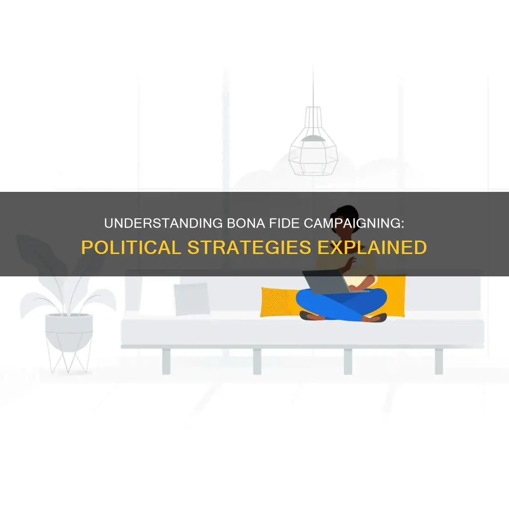 what is bona fide campaign or political purposes