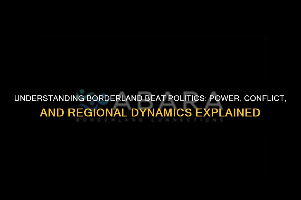 what is borderland beat politics