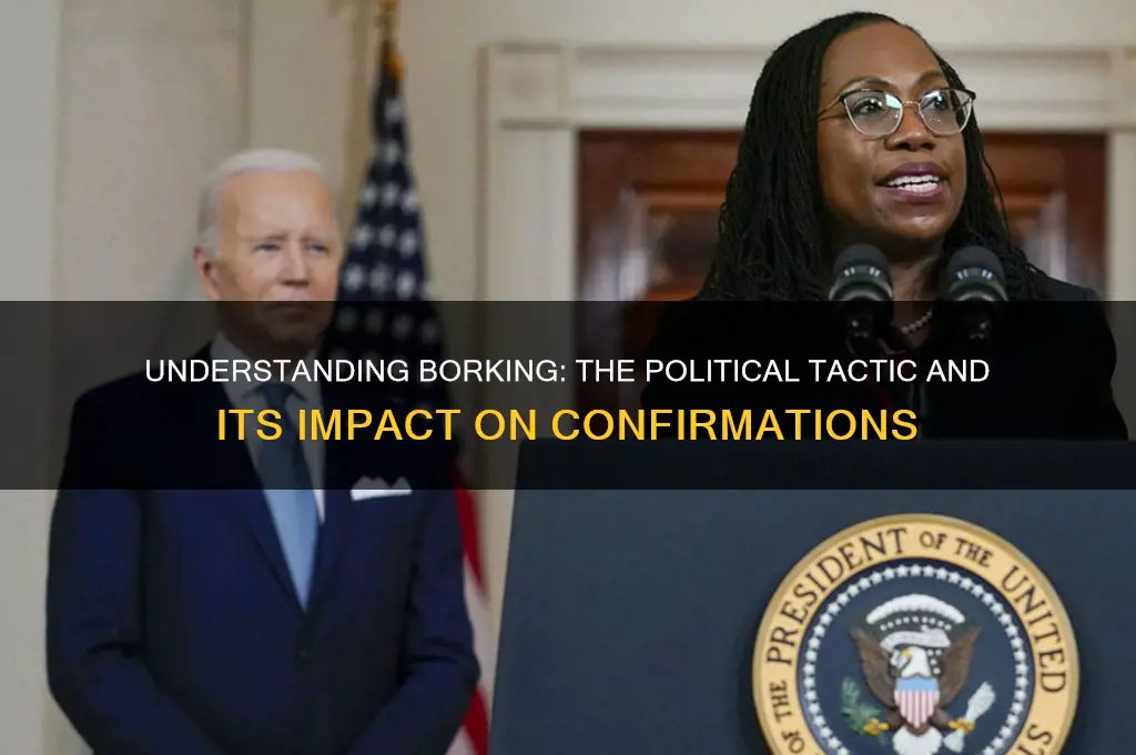 what is borking in politics