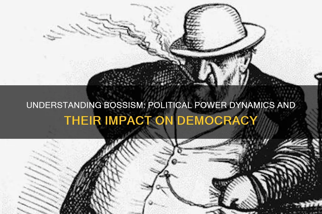 what is bossism in politics