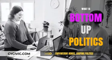 Understanding Bottom-Up Politics: Empowering Grassroots Movements and Local Voices