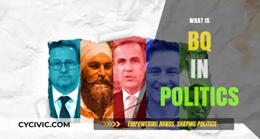 Understanding BQ: Its Role and Impact in Political Strategies