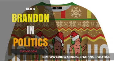 Understanding Brandon: Political Meme, Cultural Phenomenon, or Symbolic Protest?