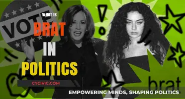 Understanding BRAT in Politics: A Comprehensive Guide to Its Role and Impact
