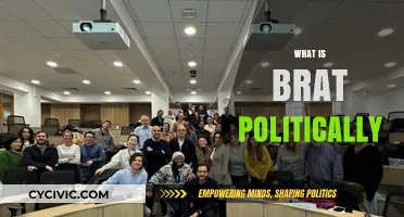 Understanding BRAT: Political Implications and Global Influence Explained