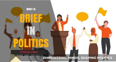 Understanding Political Briefs: Concise Tools for Policy and Strategy