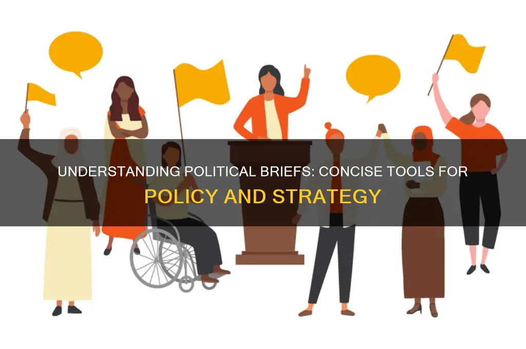 what is brief in politics