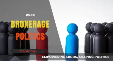 Understanding Brokerage Politics: Power, Influence, and Political Deal-Making Explained