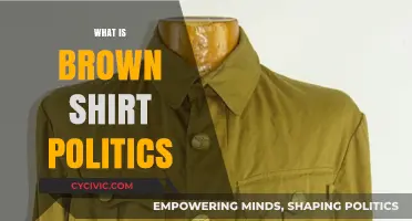 Understanding Brown Shirt Politics: Origins, Tactics, and Modern Implications