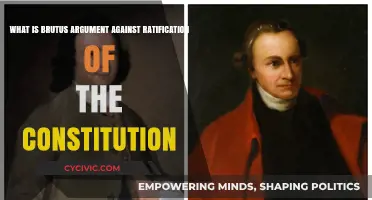 Brutus' Anti-Constitution Argument: Liberty vs Tyranny