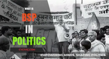 Understanding BSP: Its Role, Impact, and Significance in Indian Politics