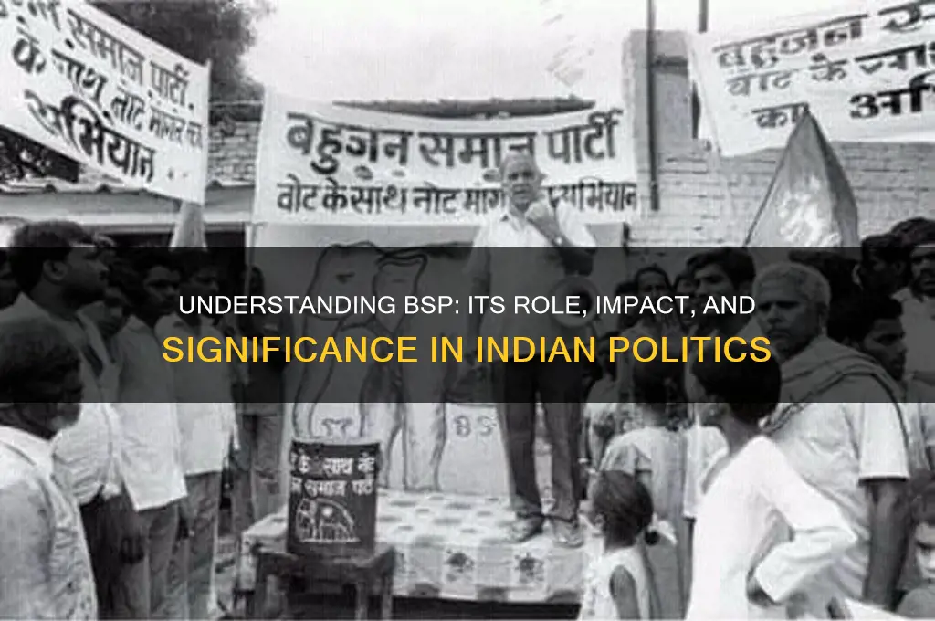 what is bsp in politics