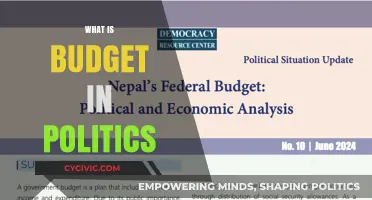 Understanding Political Budgets: Allocation, Impact, and Public Policy Explained