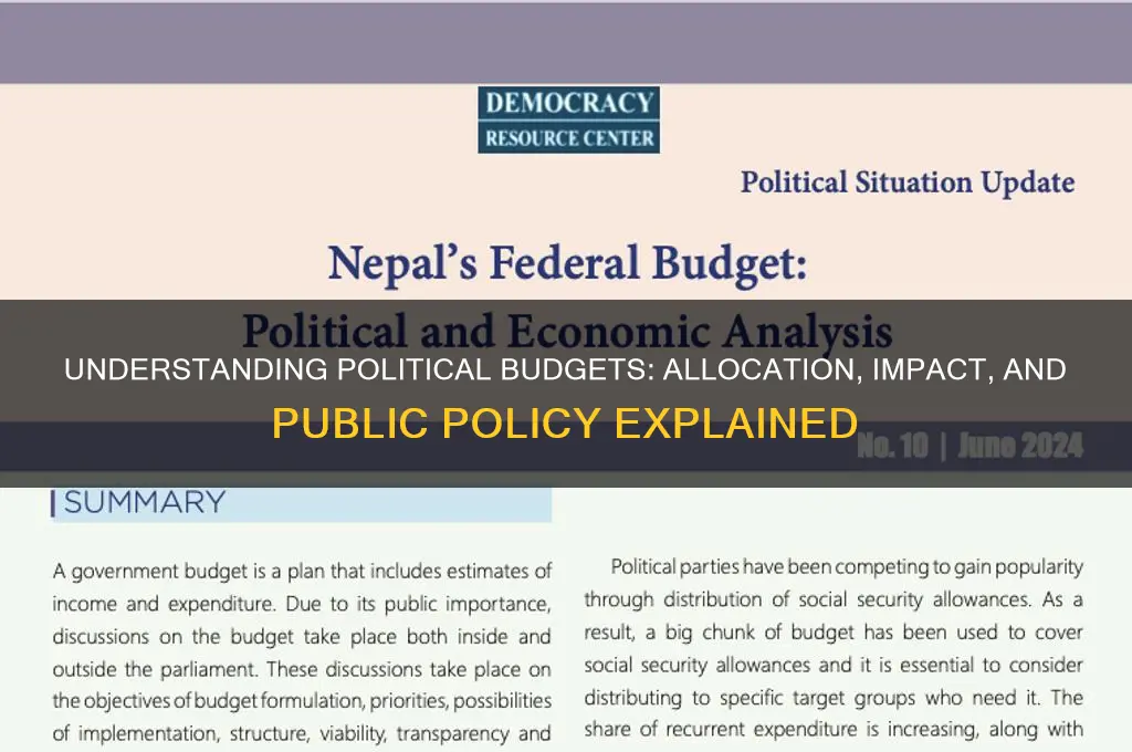 what is budget in politics