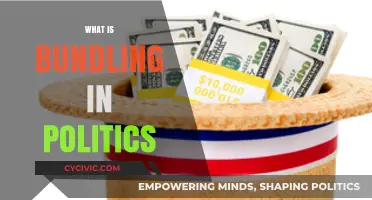 Understanding Political Bundling: Strategies, Influence, and Campaign Financing Explained