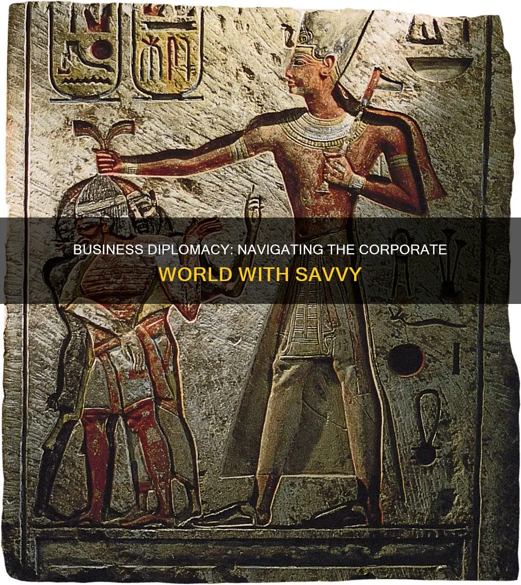 what is business diplomacy