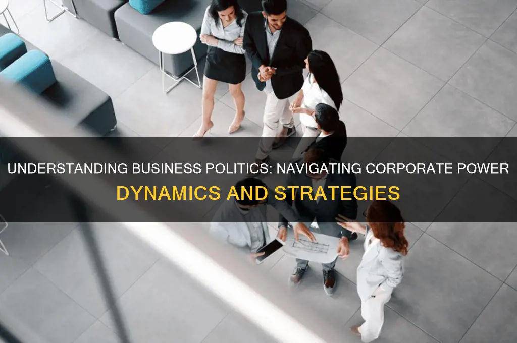 what is business politics