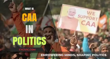 Understanding the Citizenship Amendment Act: Political Implications and Controversies