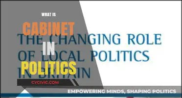 Understanding the Role and Function of a Cabinet in Politics