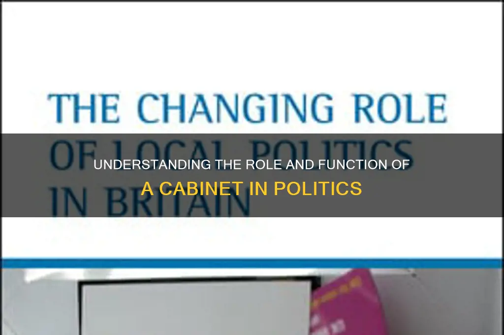 what is cabinet in politics