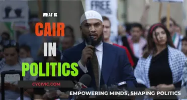Understanding CAIR: Role, Impact, and Influence in American Politics