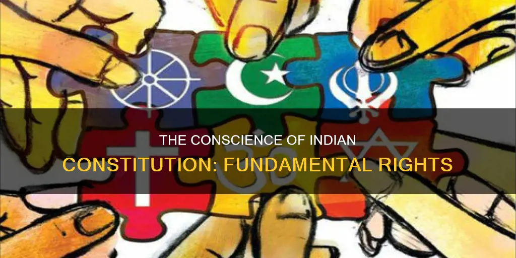 what is called the conscience of indian constitution