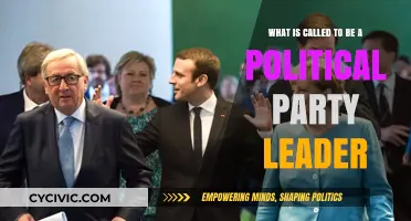 Understanding the Role and Responsibilities of a Political Party Leader