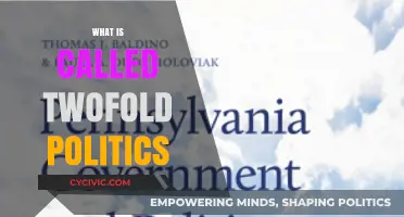 Understanding Twofold Politics: Dual Strategies in Modern Governance Explained