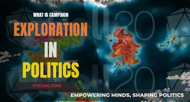 Exploring Political Campaigns: Strategies and Secrets