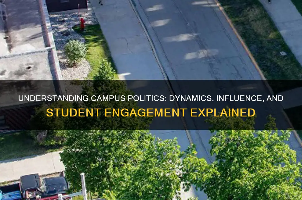 what is campus politics