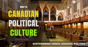 Understanding Canada's Political Culture: Values, Traditions, and Identity