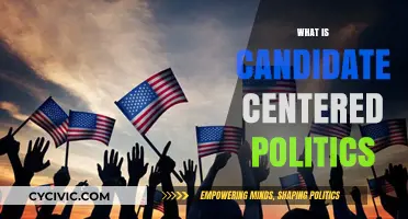 Understanding Candidate-Centered Politics: Personal Appeal Over Party Influence