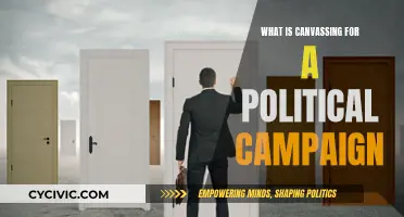 Effective Political Canvassing: Strategies for Campaign Success