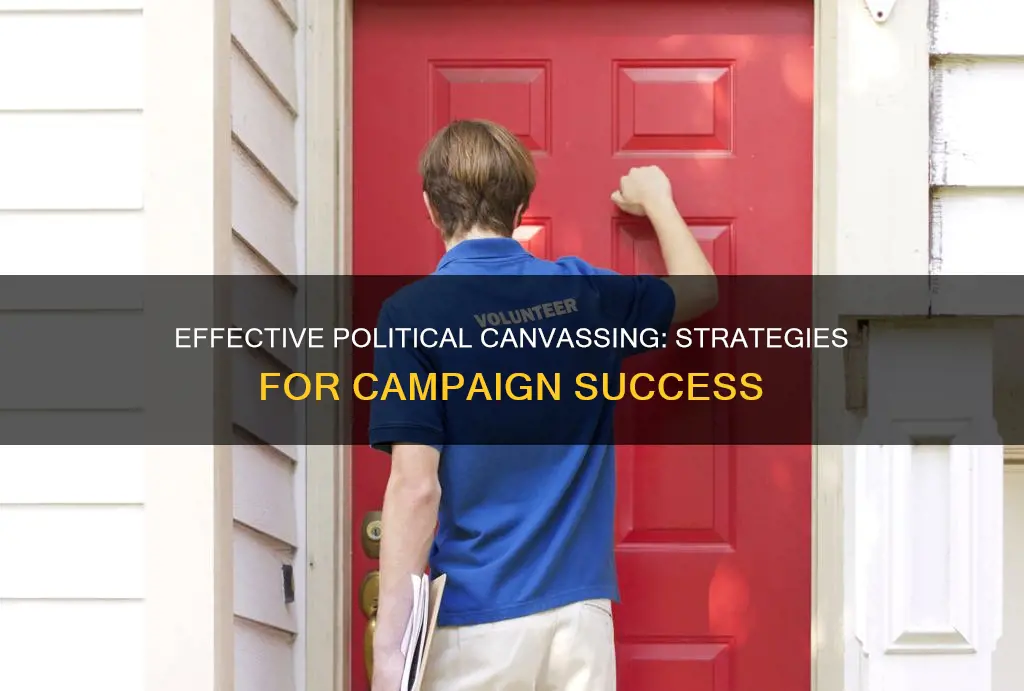 what is canvassing for a political campaign