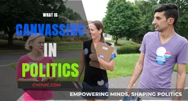 Understanding Political Canvassing: Strategies, Impact, and Voter Engagement Techniques