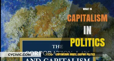 Understanding Capitalism's Role in Political Systems and Governance