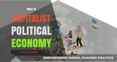 Understanding Capitalist Political Economy: Power, Markets, and State Dynamics