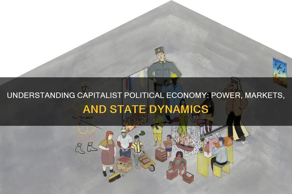 what is capitalist political economy