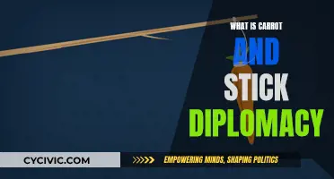 Carrot-and-Stick Diplomacy: Incentivizing and Coercing in Foreign Policy