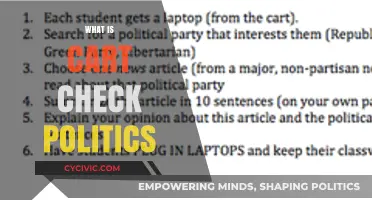 Understanding Cart Check Politics: Strategies, Impact, and Voter Influence Explained