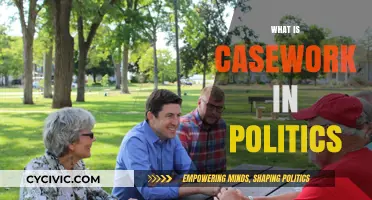 Understanding Casework: The Unseen Role in Political Representation and Service