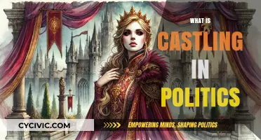 Castling in Politics: Strategic Alliances and Power Shifts Explained