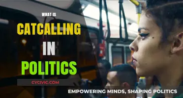 Catcalling in Politics: Understanding Harassment and Its Impact on Women