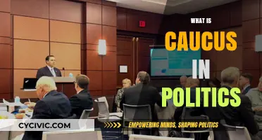 Understanding Caucuses: A Key Mechanism in Political Decision-Making