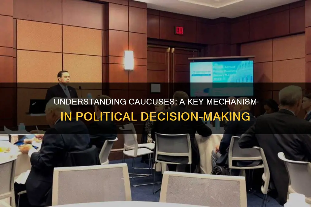 what is caucus in politics