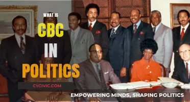 Understanding CBC: The Role of the Congressional Black Caucus in Politics