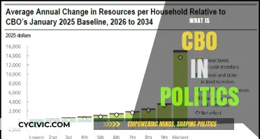Understanding CBO: Its Role and Impact in Political Decision-Making