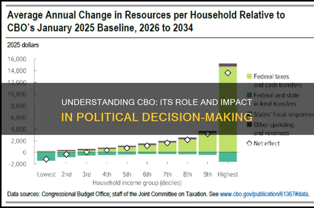 what is cbo in politics